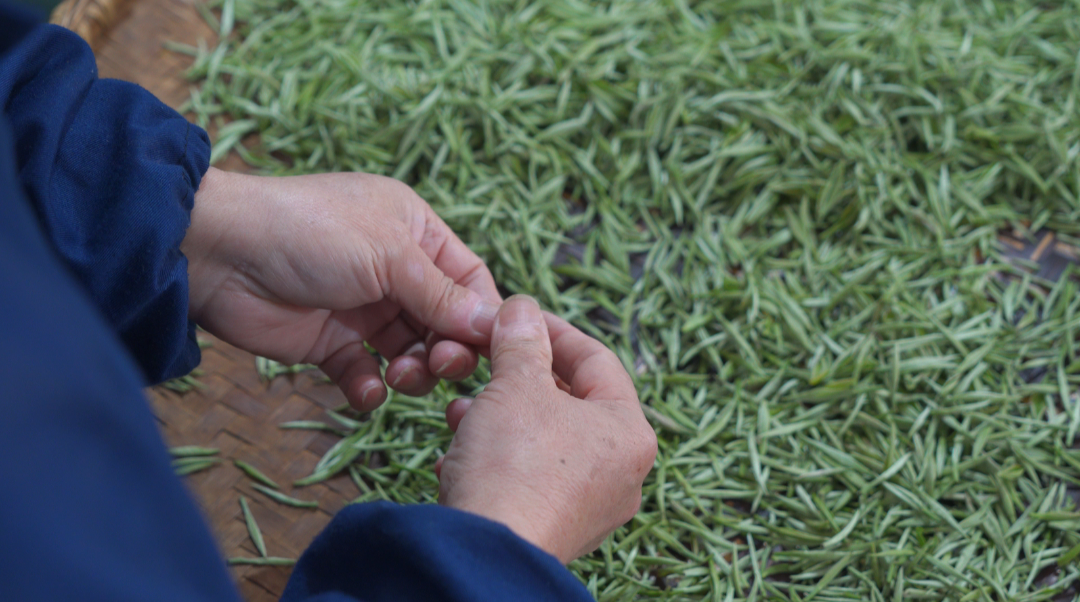 微信图片_20250319102710.png 微信图片_20250319102710.png