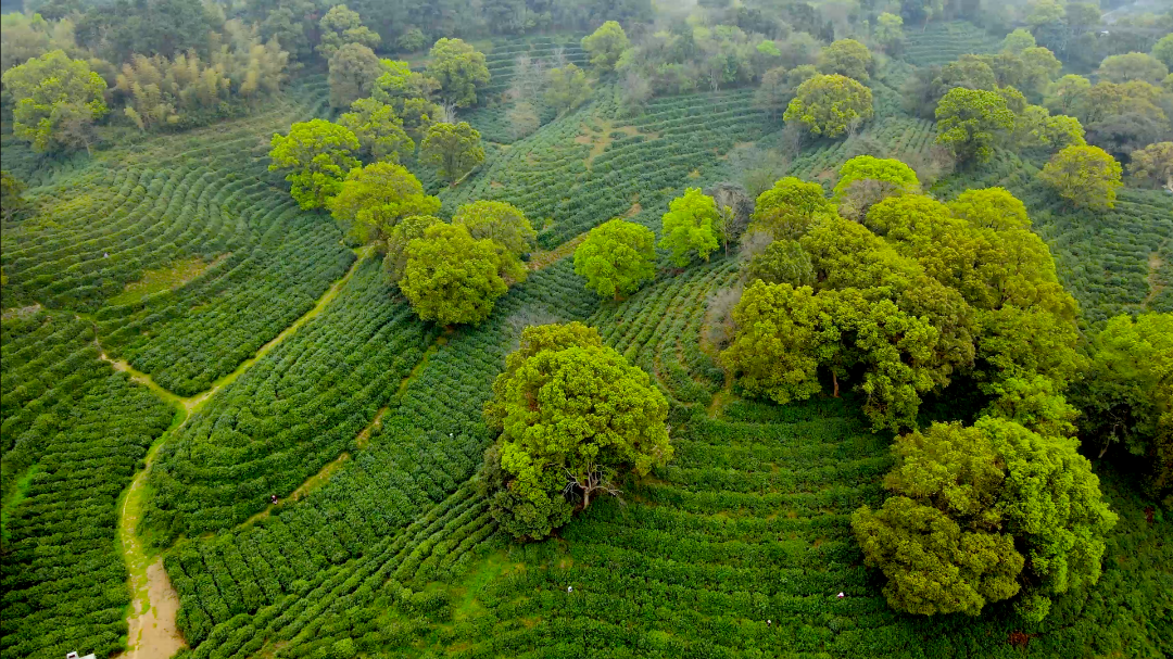 微信图片_20250319102714.png 微信图片_20250319102714.png